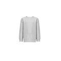 Sudadera Niño 300g Interior Cardado Gris claro matizado 4