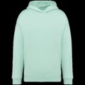 Sudadera oversize con capucha unisex Brook Green 3XL