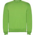 Sudadera Unisex Colores con Elastano VERDE OASIS XS