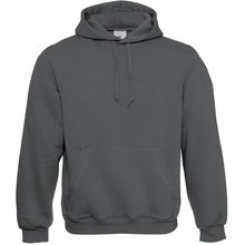 Sudadera con capucha forrada Gris L