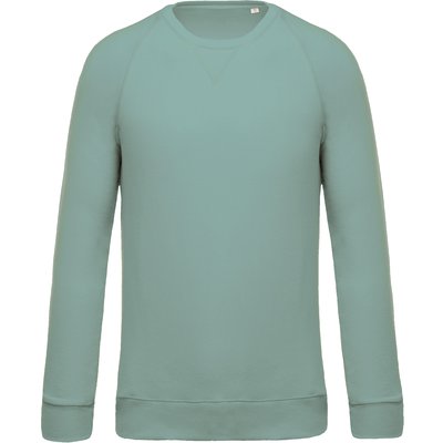 Sudadera colores lisos de algodón Gris / Verde L