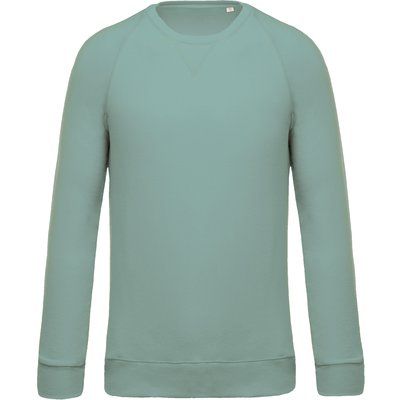 Sudadera colores lisos de algodón Sage XL